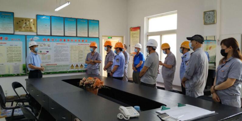 On the morning of June 8, Wang Shouye, Secretary of the Party Committee and General Manager of Sinosteel Technology Sub-Group (Sinosteel Technology Development Co., Ltd.), and a group of 3 people went to Sinosteel Luonai New Material Technology Co., Ltd. 